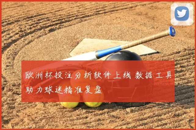欧洲杯投注分析软件上线 数据工具助力球迷精准复盘