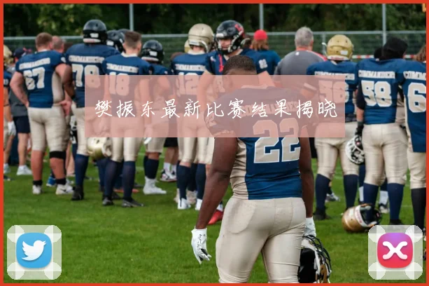 樊振东最新比赛结果揭晓