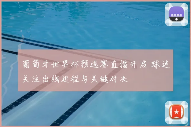 葡萄牙世界杯预选赛直播开启 球迷关注出线进程与关键对决