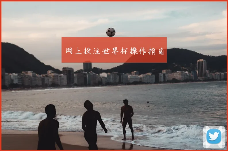 网上投注世界杯操作指南