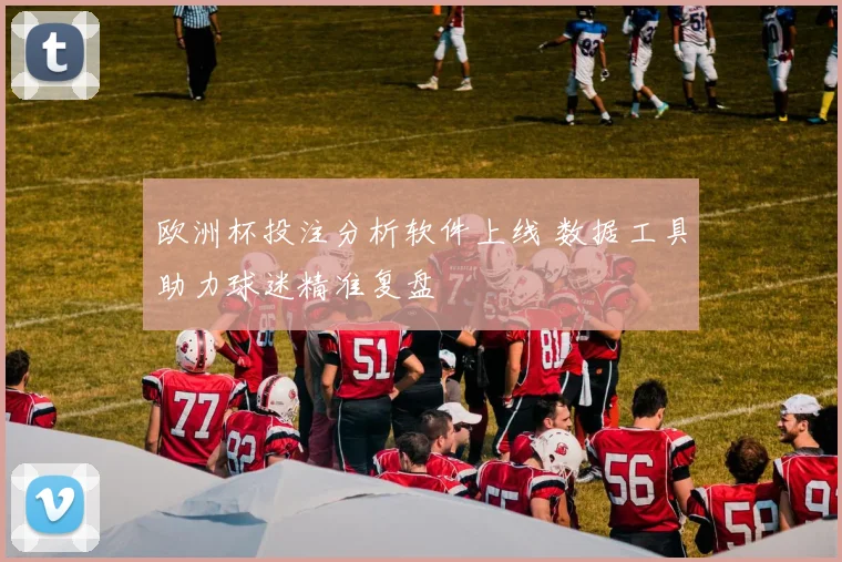 欧洲杯投注分析软件上线 数据工具助力球迷精准复盘