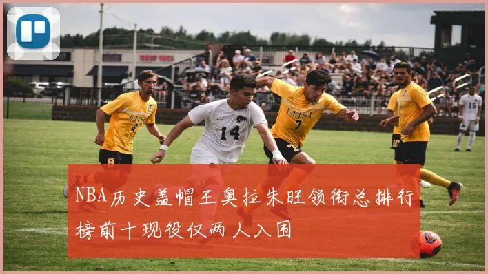 NBA历史盖帽王奥拉朱旺领衔总排行榜前十现役仅两人入围