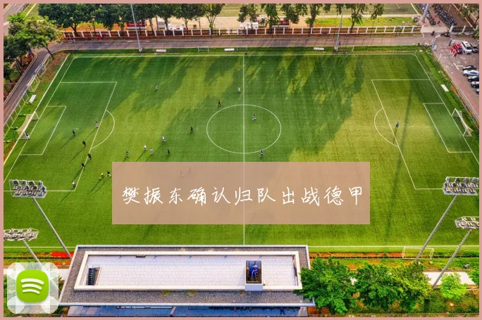 樊振东确认归队出战德甲