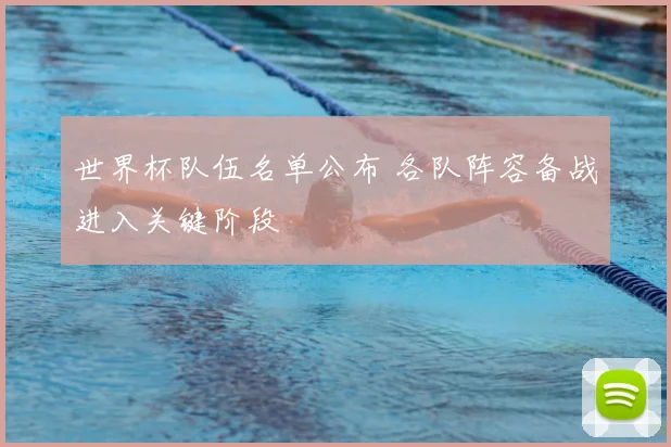 世界杯队伍名单公布 各队阵容备战进入关键阶段