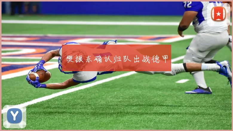 樊振东确认归队出战德甲