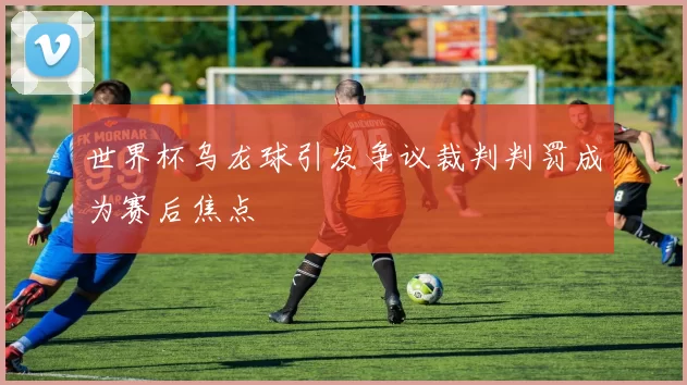 世界杯乌龙球引发争议裁判判罚成为赛后焦点