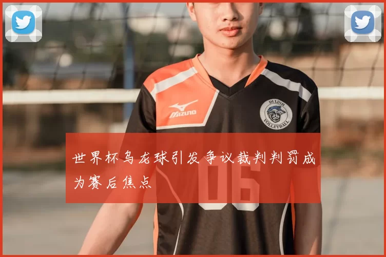 世界杯乌龙球引发争议裁判判罚成为赛后焦点